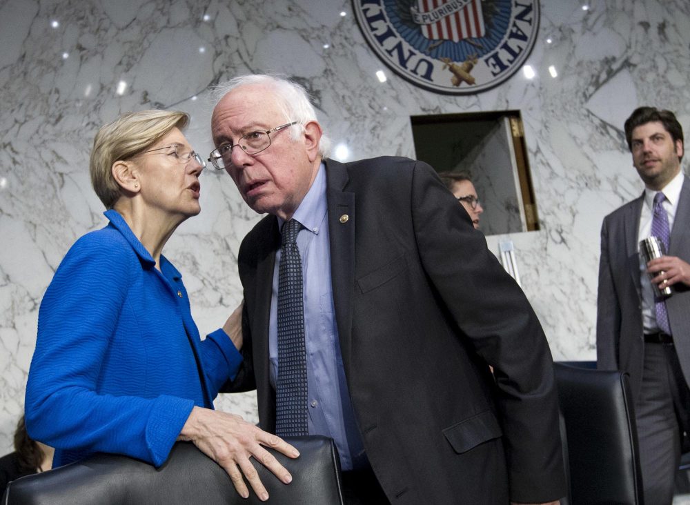 Bernie Sanders, Elizabeth Warren Single-Payer System, US Senate