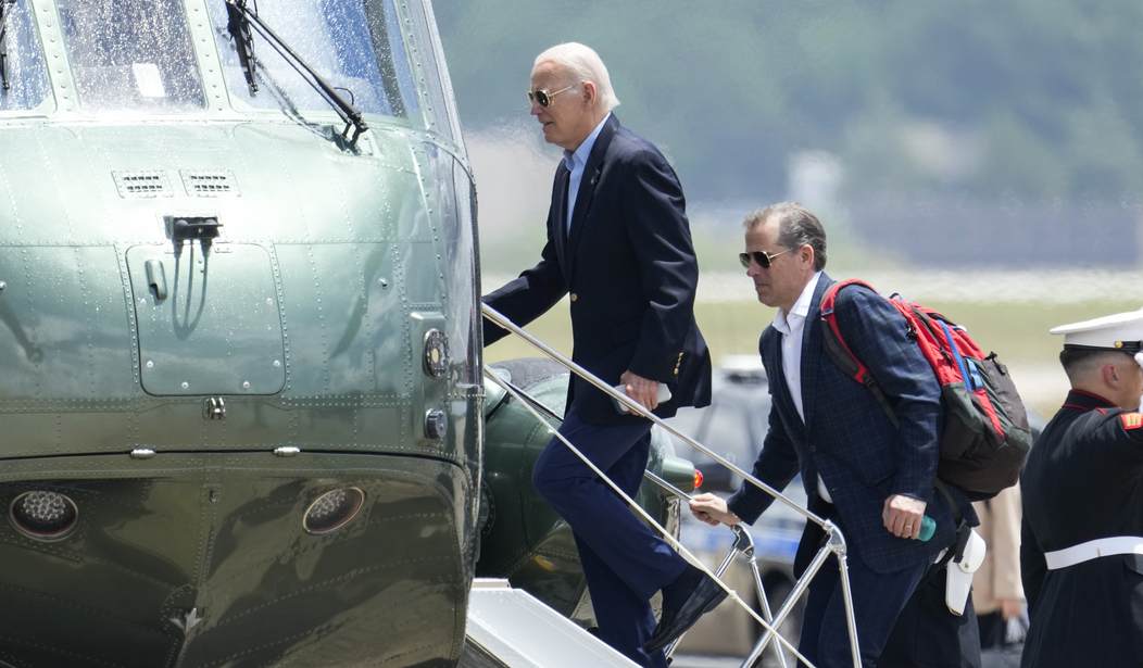 Joe Biden, Hunter Biden Justice, Politics, Plea Deal, Hunter Biden, Investigation, Second Amendment