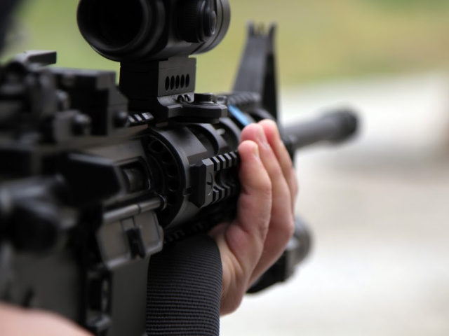 Gun Control, Virginia, AR-15
