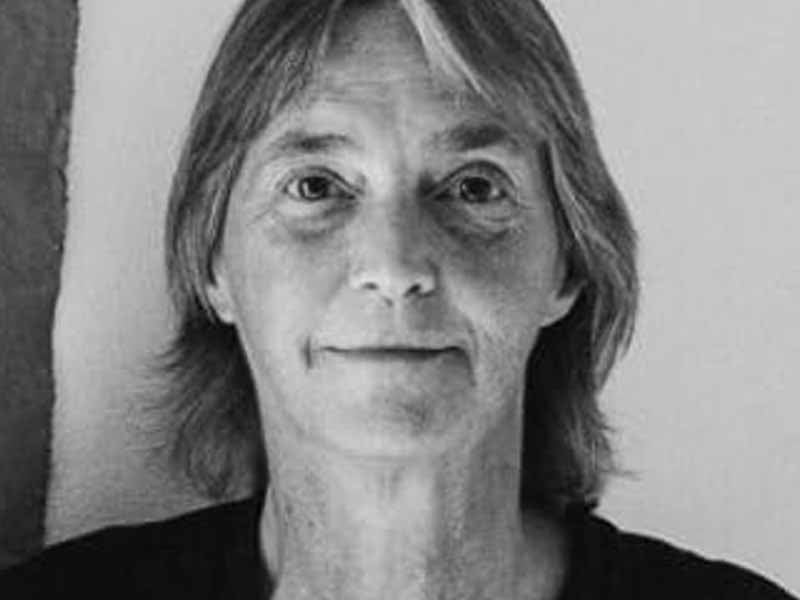 Lisa Fithian Polarization, Pro-Palestine Protests, Columbia University, New York, Lisa Fithian