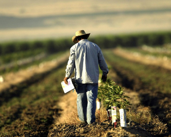 Farm Bill, Conservatives
