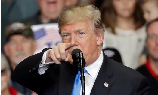 Donald Trump immigration, birthright citizenship
