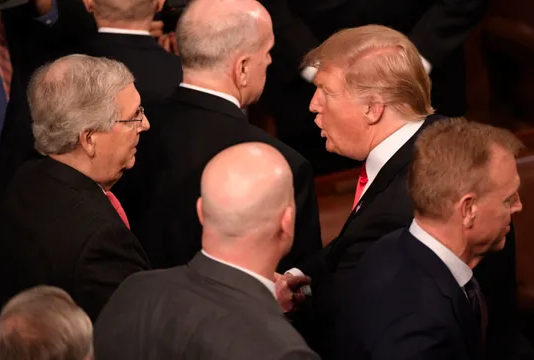 national emergency, Election 2020, GOP
