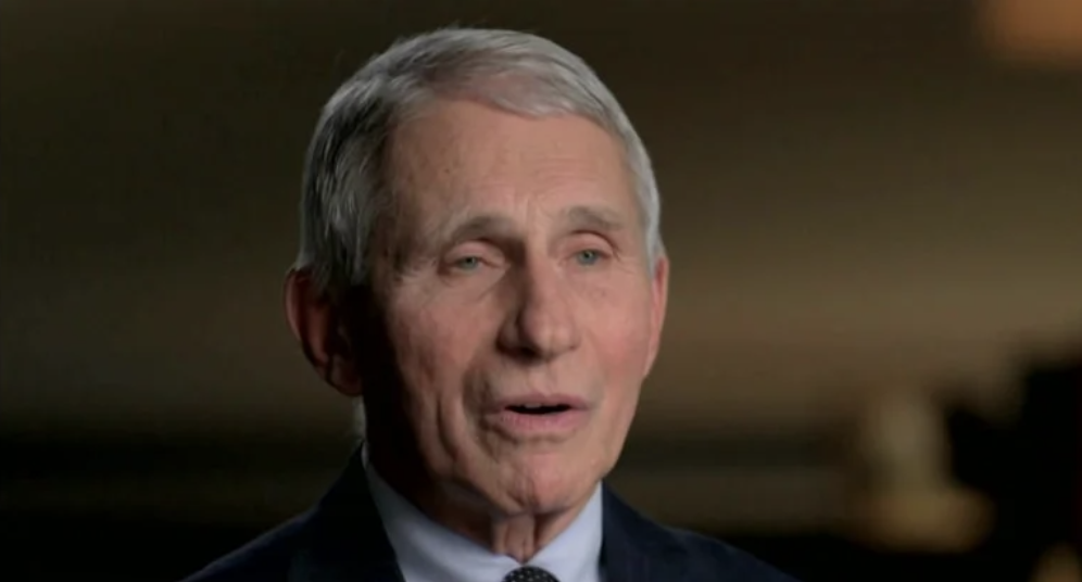 politics, Tony Fauci, Ted Cruz, coronavirus, gain of function