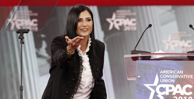 Dana Loesch Gun Control, gun rights, Michael Bloomberg