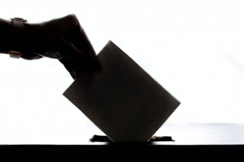 danschnurvotingimage1 danschnurvotingimage1
