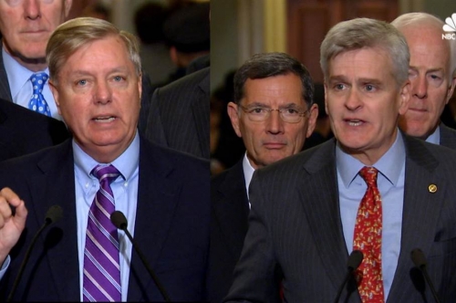 Lindsey Graham, Bill Cassidy